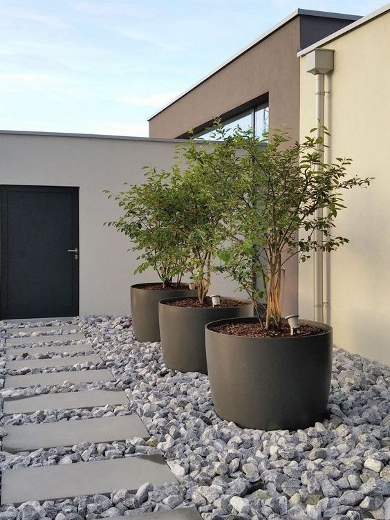 Modern And Chic Front Yard Design Ideas