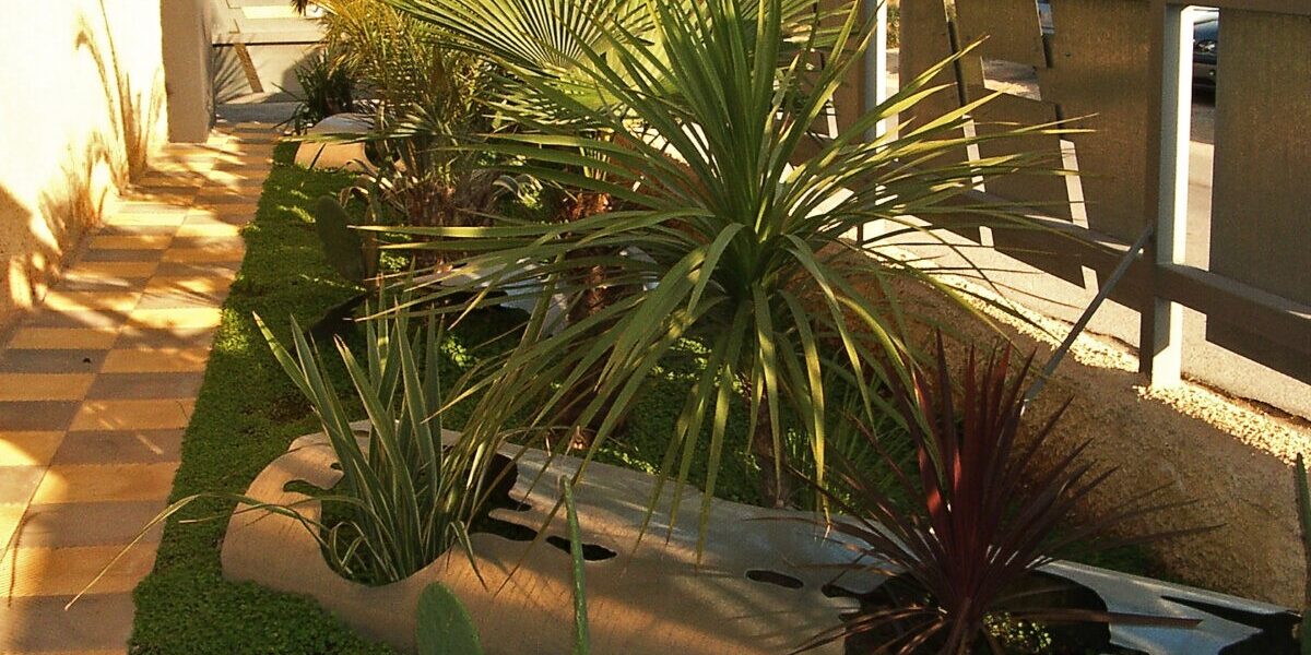 IMGP4191 Modern And Chic Front Yard Design Ideas